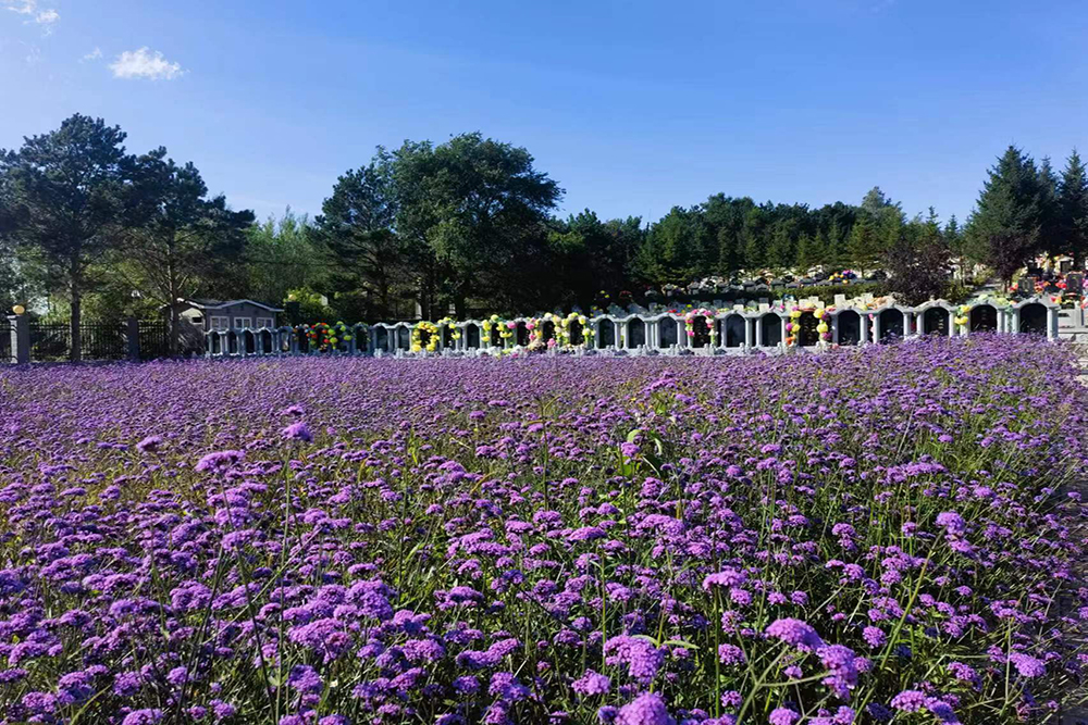 环境展示